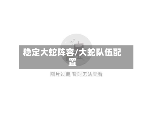 稳定大蛇阵容/大蛇队伍配置-第3张图片