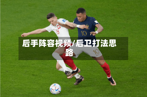 后手阵容视频/后卫打法思路