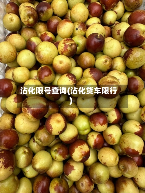 沾化限号查询(沾化货车限行)
