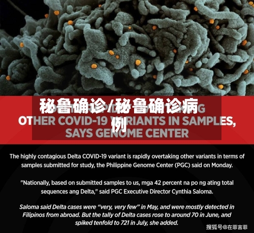 秘鲁确诊/秘鲁确诊病例