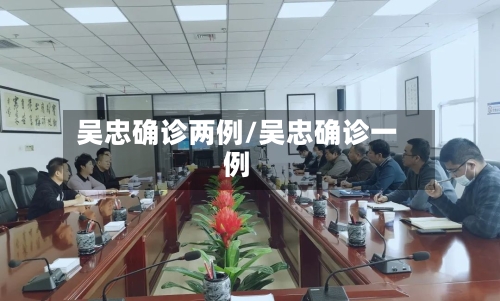 吴忠确诊两例/吴忠确诊一例