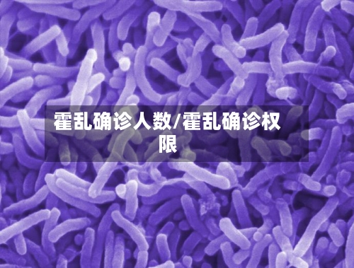 霍乱确诊人数/霍乱确诊权限-第2张图片