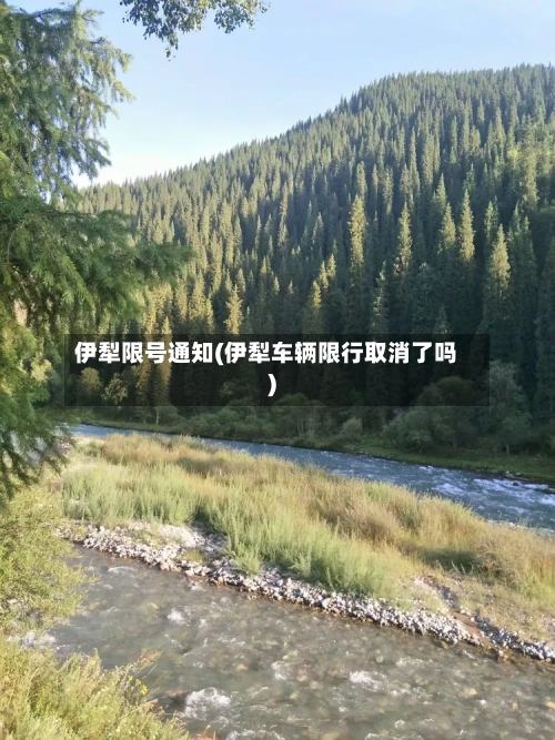 伊犁限号通知(伊犁车辆限行取消了吗)-第2张图片