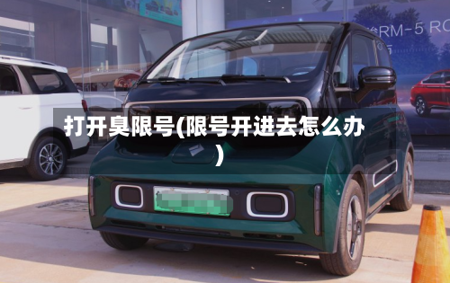 打开臭限号(限号开进去怎么办)-第2张图片