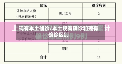现有本土确诊/本土现有确诊和现有确诊区别