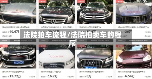 法院拍车流程/法院拍卖车的程序