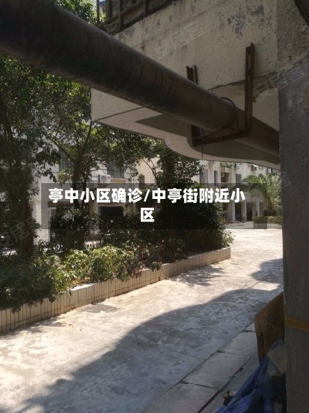 亭中小区确诊/中亭街附近小区