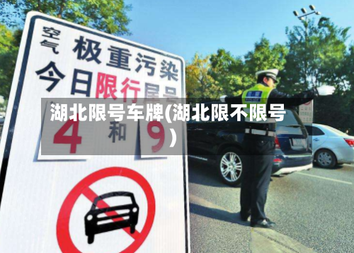 湖北限号车牌(湖北限不限号)-第3张图片