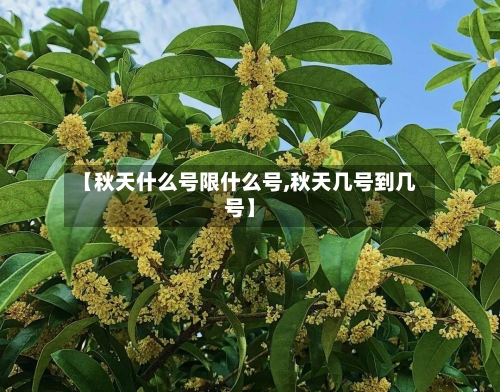 【秋天什么号限什么号,秋天几号到几号】-第2张图片