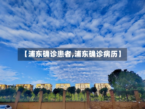 【浦东确诊患者,浦东确诊病历】-第3张图片
