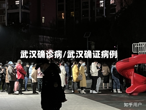 武汉确诊病/武汉确证病例-第3张图片