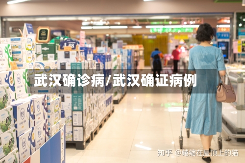 武汉确诊病/武汉确证病例