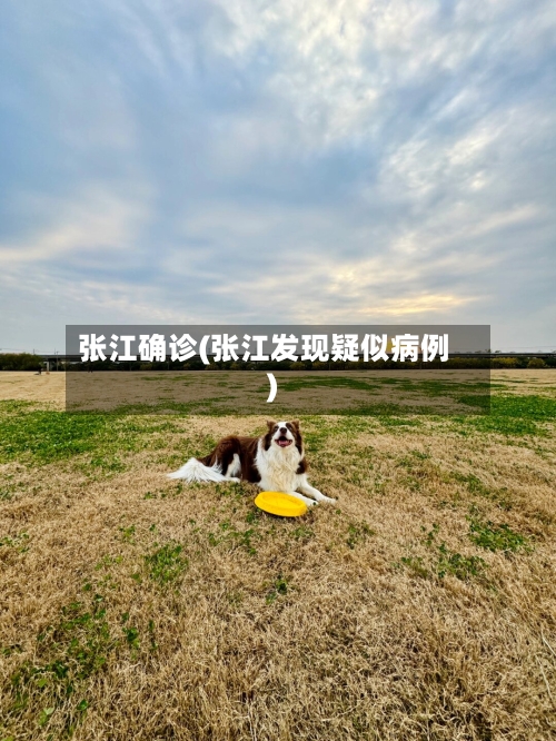 张江确诊(张江发现疑似病例)-第3张图片