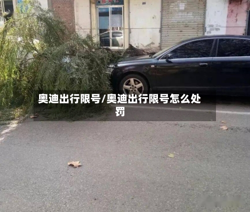 奥迪出行限号/奥迪出行限号怎么处罚-第3张图片
