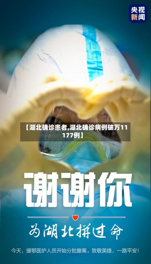 【湖北确诊患者,湖北确诊病例破万11177例】