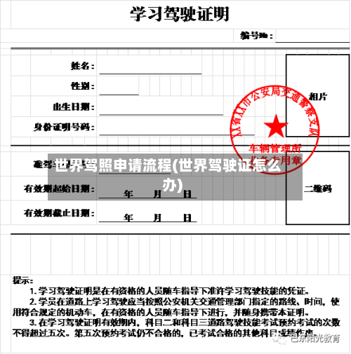 世界驾照申请流程(世界驾驶证怎么办)-第3张图片