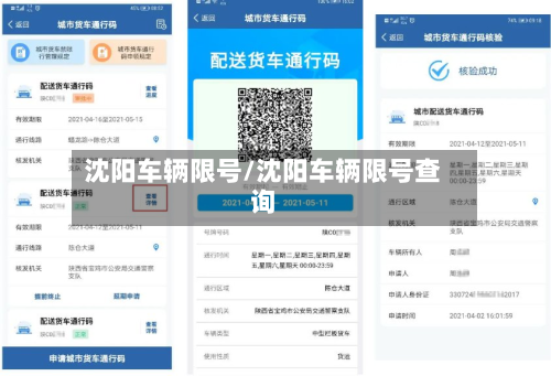 沈阳车辆限号/沈阳车辆限号查询