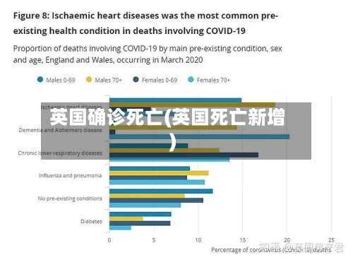 英国确诊死亡(英国死亡新增)