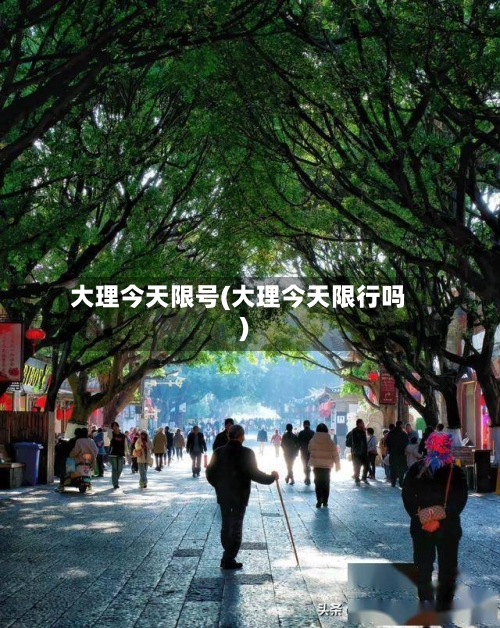 大理今天限号(大理今天限行吗)-第2张图片