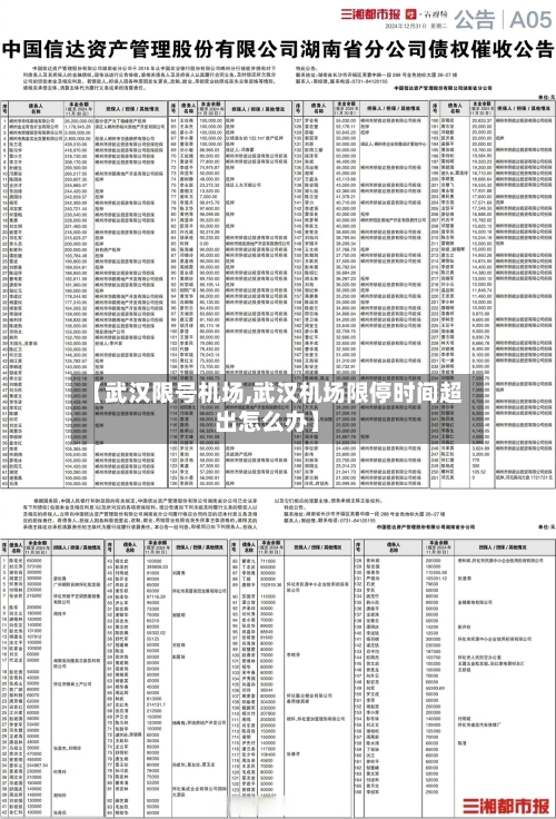【武汉限号机场,武汉机场限停时间超出怎么办】-第2张图片