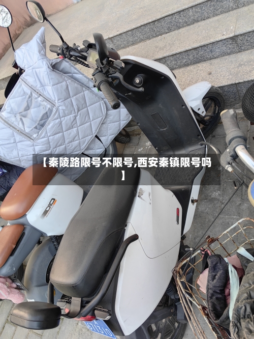 【秦陵路限号不限号,西安秦镇限号吗】-第2张图片