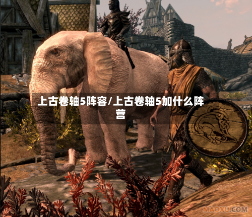 上古卷轴5阵容/上古卷轴5加什么阵营