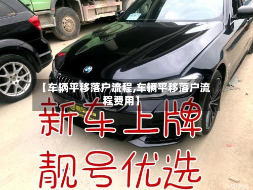 【车辆平移落户流程,车辆平移落户流程费用】