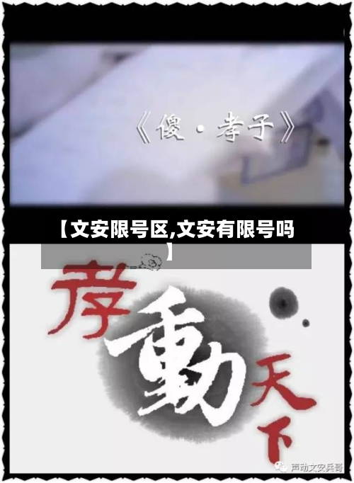 【文安限号区,文安有限号吗】-第3张图片