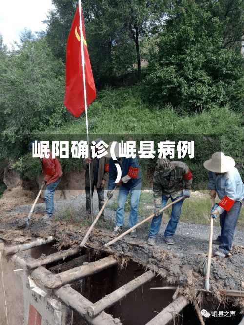 岷阳确诊(岷县病例)-第2张图片