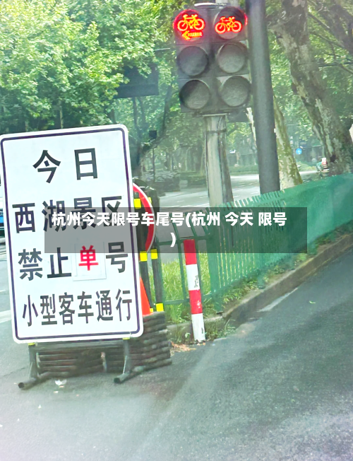 杭州今天限号车尾号(杭州 今天 限号)