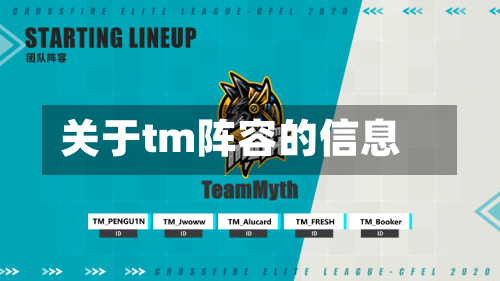 关于tm阵容的信息-第2张图片