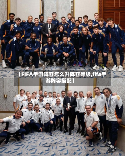 【FIFA手游阵容怎么升阵容等级,fifa手游阵容搭配】