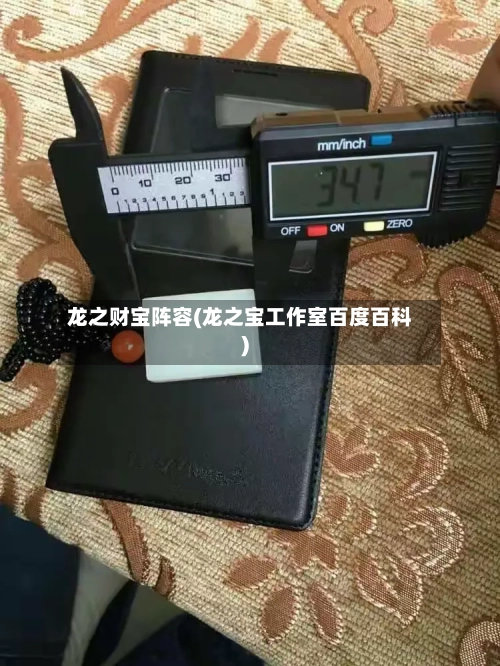 龙之财宝阵容(龙之宝工作室百度百科)
