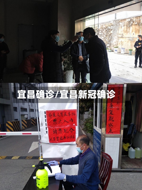 宜昌确诊/宜昌新冠确诊-第2张图片