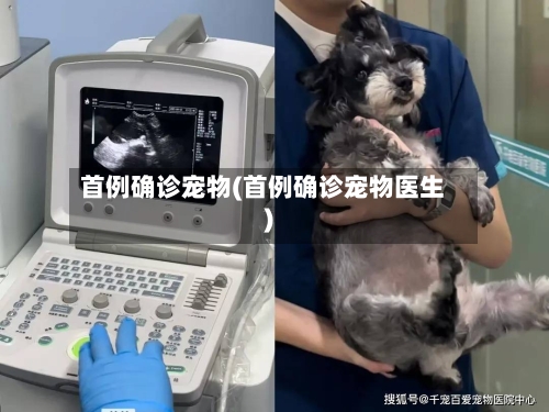 首例确诊宠物(首例确诊宠物医生)
