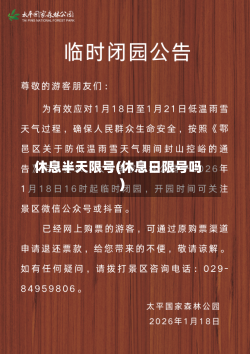 休息半天限号(休息日限号吗)-第2张图片