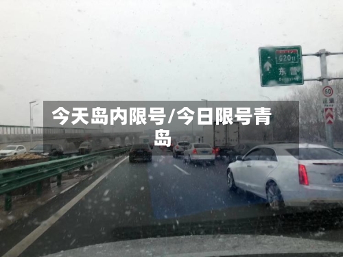 今天岛内限号/今日限号青岛