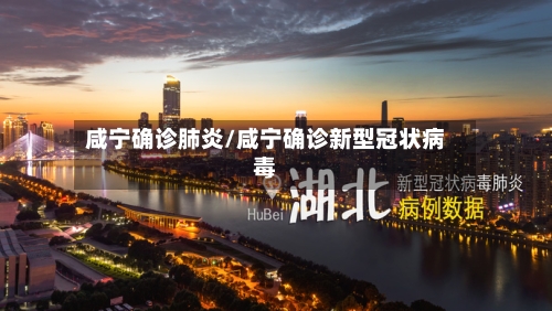 咸宁确诊肺炎/咸宁确诊新型冠状病毒-第2张图片