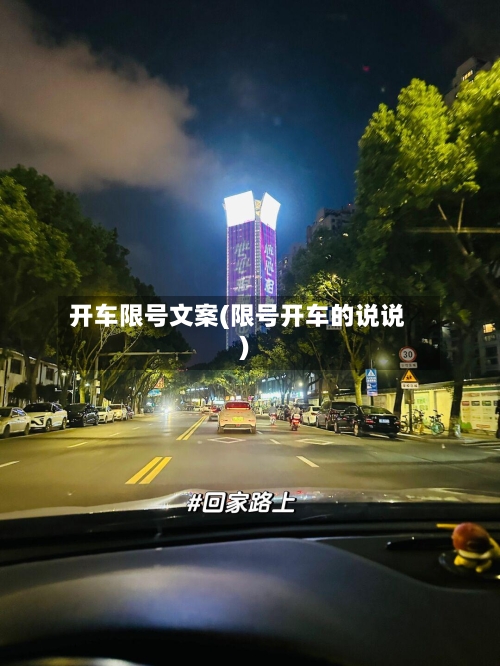 开车限号文案(限号开车的说说)