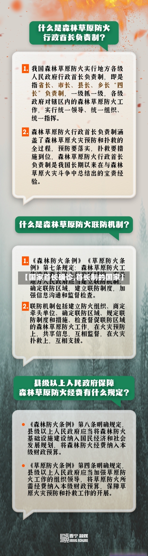 【国家首长确诊,首长制的国家】-第2张图片