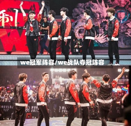 we冠军阵容/we战队夺冠阵容
