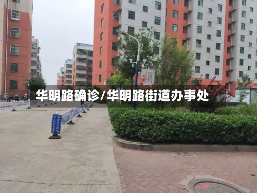 华明路确诊/华明路街道办事处-第2张图片