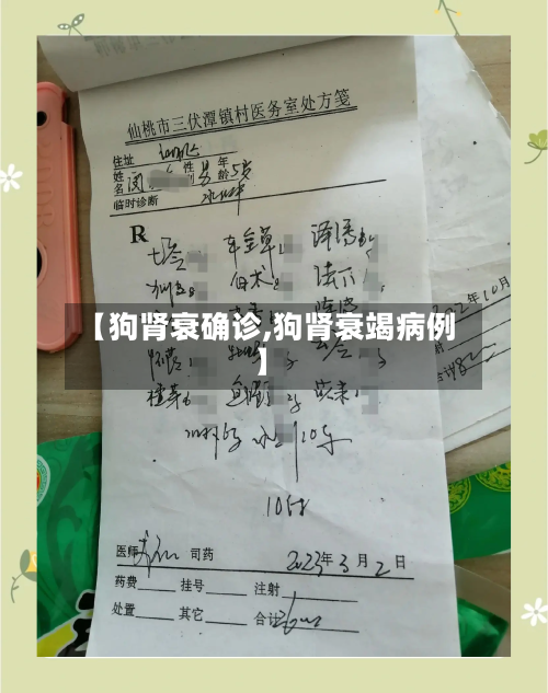 【狗肾衰确诊,狗肾衰竭病例】-第3张图片