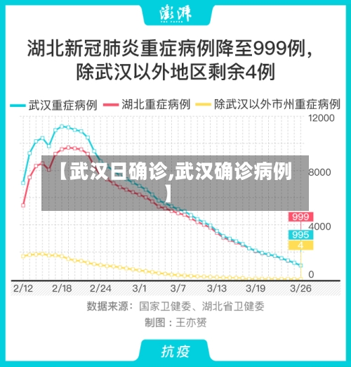 【武汉日确诊,武汉确诊病例】-第2张图片