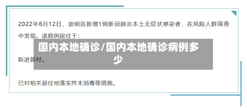 国内本地确诊/国内本地确诊病例多少-第2张图片