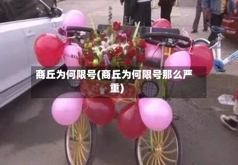 商丘为何限号(商丘为何限号那么严重)-第3张图片