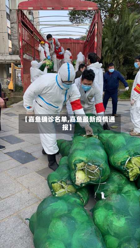 【嘉鱼确诊名单,嘉鱼最新疫情通报】-第2张图片