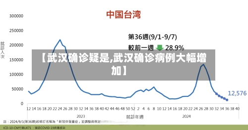 【武汉确诊疑是,武汉确诊病例大幅增加】-第3张图片