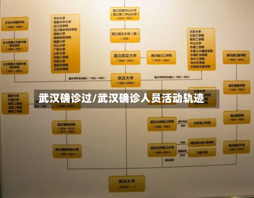 武汉确诊过/武汉确诊人员活动轨迹-第2张图片