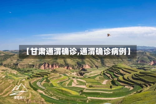 【甘肃通渭确诊,通渭确诊病例】-第2张图片